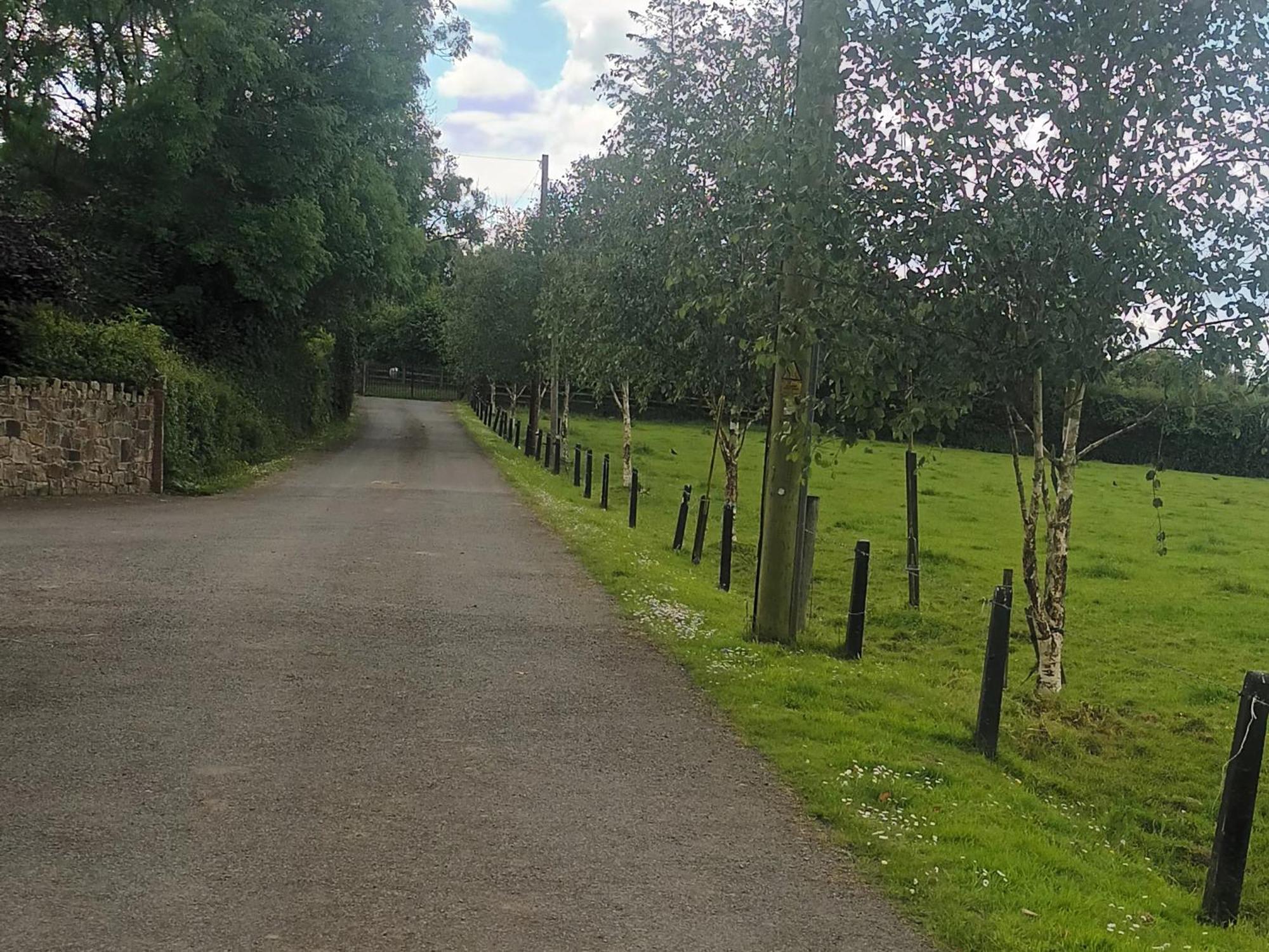 Birdhill Farmhouse Tipperary Exterior foto